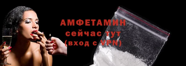 амф Алексин