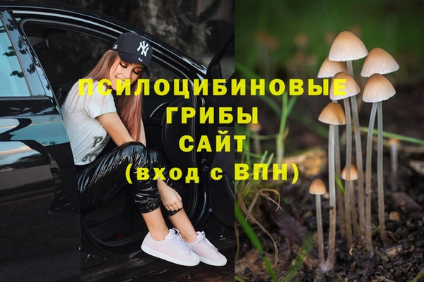 apvp Грязи