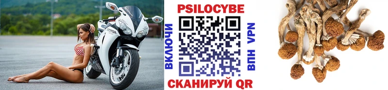 Псилоцибиновые грибы Psilocybine cubensis  мега маркетплейс  Шарыпово  даркнет сайт 