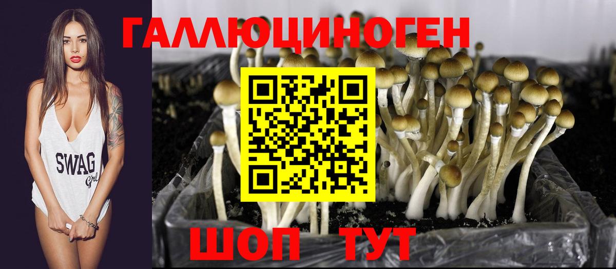 Шарыпово  Псилоцибиновые грибы Magic Shrooms  Вход с VPN 