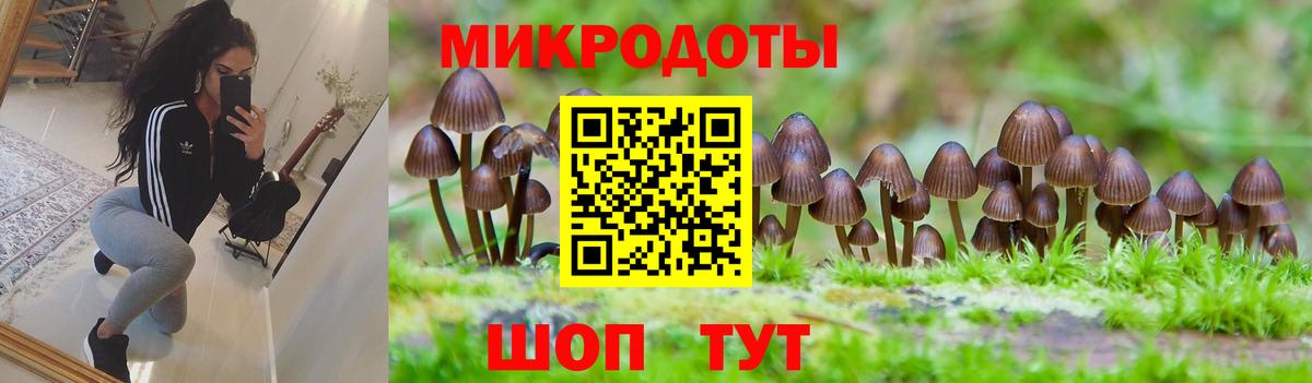 Псилоцибиновые грибы Cubensis Шарыпово